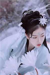 月下清棠落无声畅读