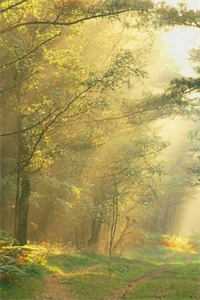 野驯！京圈太子撕破伪装掐腰诱吻无弹窗