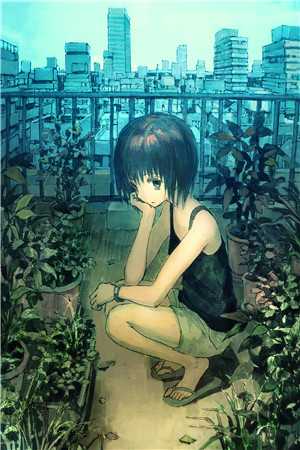 楠木霜尽旧恨消目录