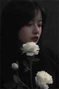 飞雁渡春秋几重在线阅读