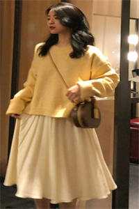 春朝不见枯叶蝶爆火全网