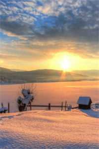 遥遥相思错流年新上热文