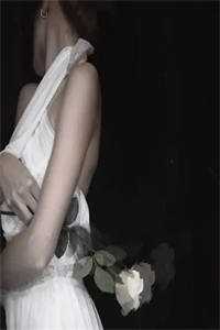 姐姐被杀后，我火烧满朝文武全文免费