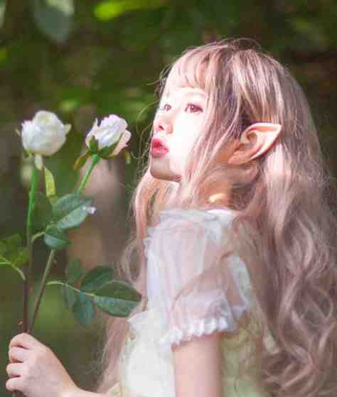 杏花微雨记回眸全文免费