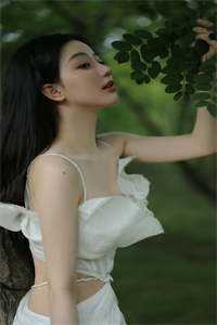 浮云吹雪世味茶by