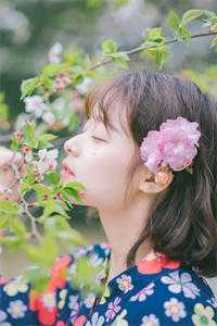 只等暮云归小说免费阅读