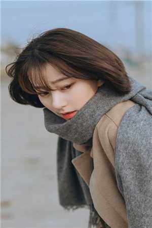 萤火绕过旧梅梢小说