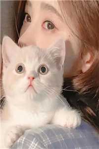 把我送进监狱后，爸妈却哭求我原谅小说畅读