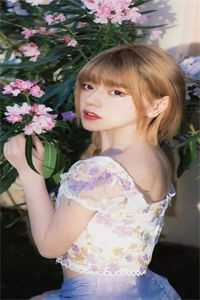 风起时，花落成殇爆火全网