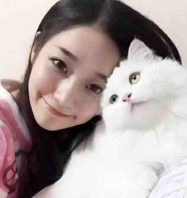 结婚周年，老婆给男助理买游艇试读