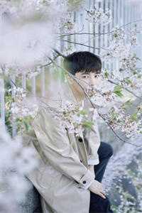 人间四月问不归最新热门小说