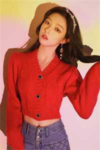 悲欢已逝，爱恨同歌后续+结局