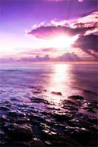 把我送进监狱后，爸妈却哭求我原谅小说免费