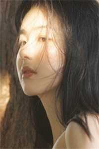 愿旧梦归于山海小说全文免费阅读