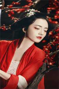 不渡寒江雪试读