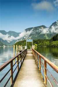 空难死后半年，老公发来求救微信畅销巨著