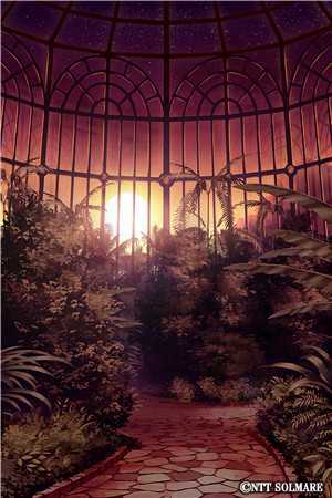 妻子私密照拍卖夜，我宣布离婚并出价零元的小说