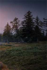 未赴花期，先赴荒芜的小说