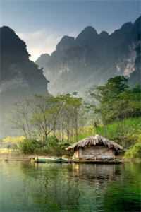 军犬拼死护主，五位将军叔叔泪崩热门小说