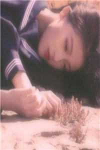 往昔流年不可追异常火爆