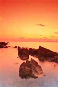 晓色尽处无晨曦免费阅读