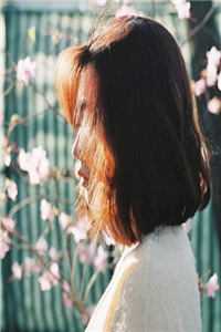 随星，随月，随清风爆火全网