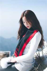 风起云散皆是景完本