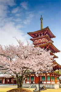 重活一世，我手撕兼祧两房的夫君和绿茶大嫂最新热门小说