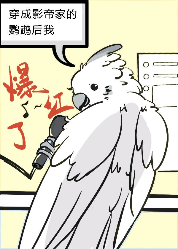 红星双穿：我在陕北卖物资完结版