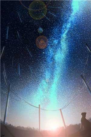 飞鸟远去无删版