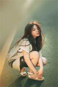 夜阑珊处花辞镜已完结