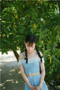 花灯影里寄相思全集