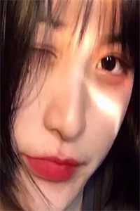 飞雁渡春秋几重完整文集阅读