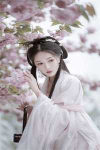 落花辞树君方惜完结版