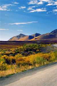 你迟来的千千万推荐