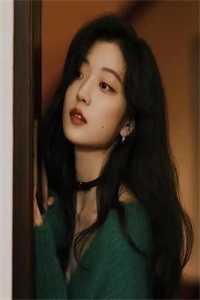 飞雁渡春秋几重全本