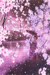 飞鸟远去全本小说推荐