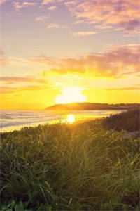 风起云散皆是景小说全文免费阅读