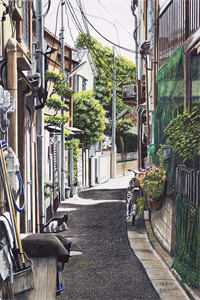 等不到的向日葵目录