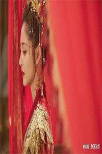 男绿茶品鉴师的复仇指南全新