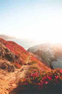 野驯！京圈太子撕破伪装掐腰诱吻by