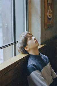 此后相思悲成墓小说在线阅读免费