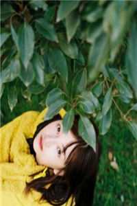 一夜雨飘零畅销巨著