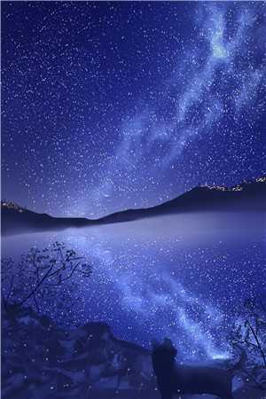 韶华不为庸人留爆款宝藏